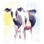 Picture of HOLSTEIN IV