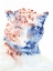 Picture of COPPER AND BLUE CHEETAH