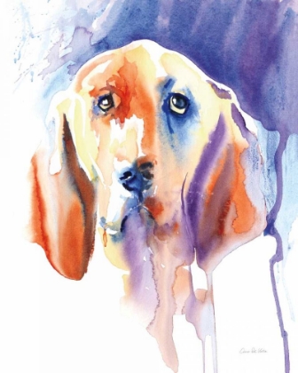 Picture of BASSET HOUND