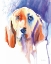 Picture of BASSET HOUND