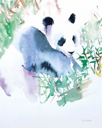 Picture of PANDA