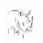 Picture of AFRICAN ANIMALS VI