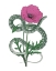 Picture of NATURAL BEAUTY I PINK FLOWER