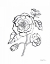 Picture of JOYFUL PEONIES IV