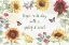 Picture of SUNFLOWER SPLENDOR I