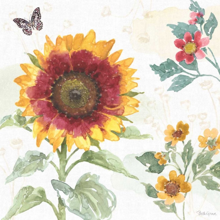 Picture of SUNFLOWER SPLENDOR VII