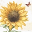 Picture of SUNFLOWER SPLENDOR IX