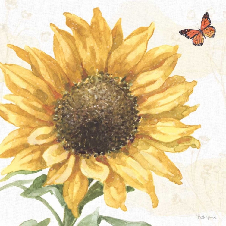 Picture of SUNFLOWER SPLENDOR IX