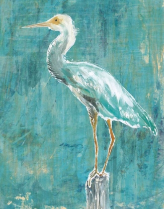 Picture of COASTAL EGRET II DARK