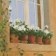 Picture of CHATEAU CREANCEY WINDOW LIGHT SQ
