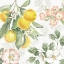 Picture of CITRUS CHARM VI