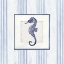 Picture of SANIBEL SHELL IV NAVY