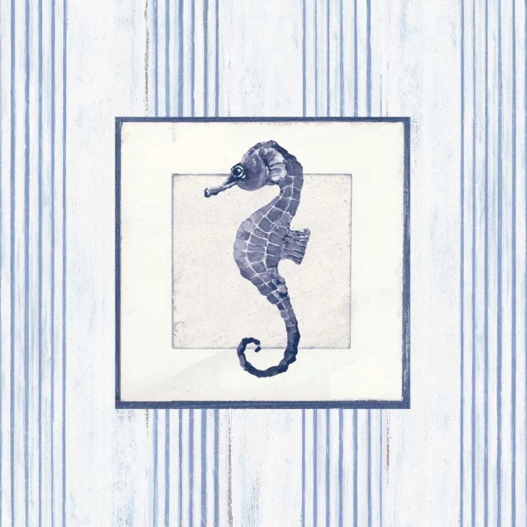 Picture of SANIBEL SHELL IV NAVY