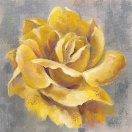 Picture of YELLOW ROSES I