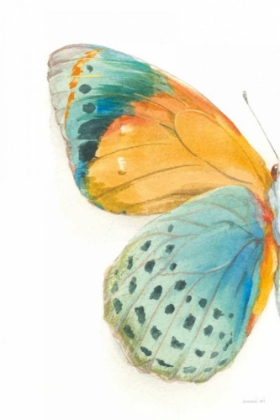 Picture of FRAGILE WINGS I