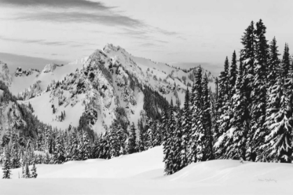 Picture of TATOOSH RANGE BW