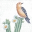 Picture of DESERT BEAUTIES X