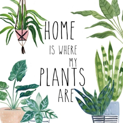 Picture of PLANT HOME II