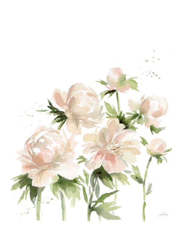 Picture of PEONIES I