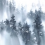 Picture of MISTY FOREST I