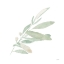 Picture of SAGE I