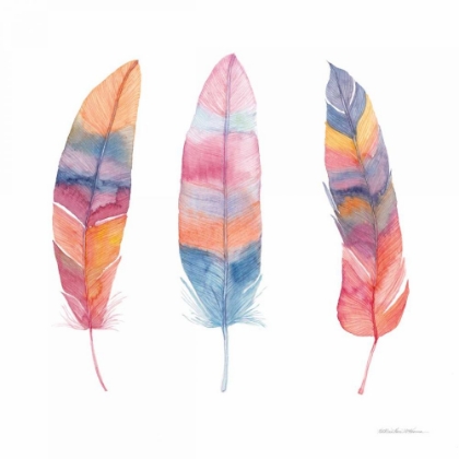 Picture of BOHO FEATHERS I
