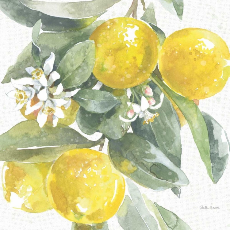 Picture of CITRUS CHARM LEMONS I