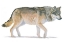 Picture of NORTHERN WILD II