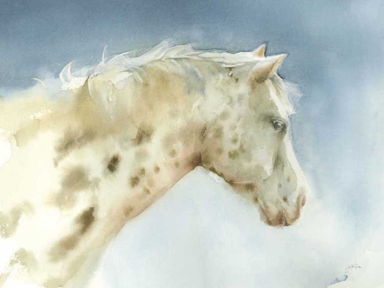 Picture of DAPPLE GRAY HORSE