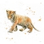 Picture of TIGER CUB