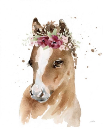 Picture of FLORAL PONY