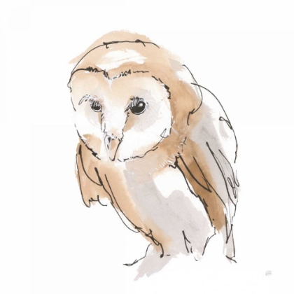 Picture of BARN OWL I