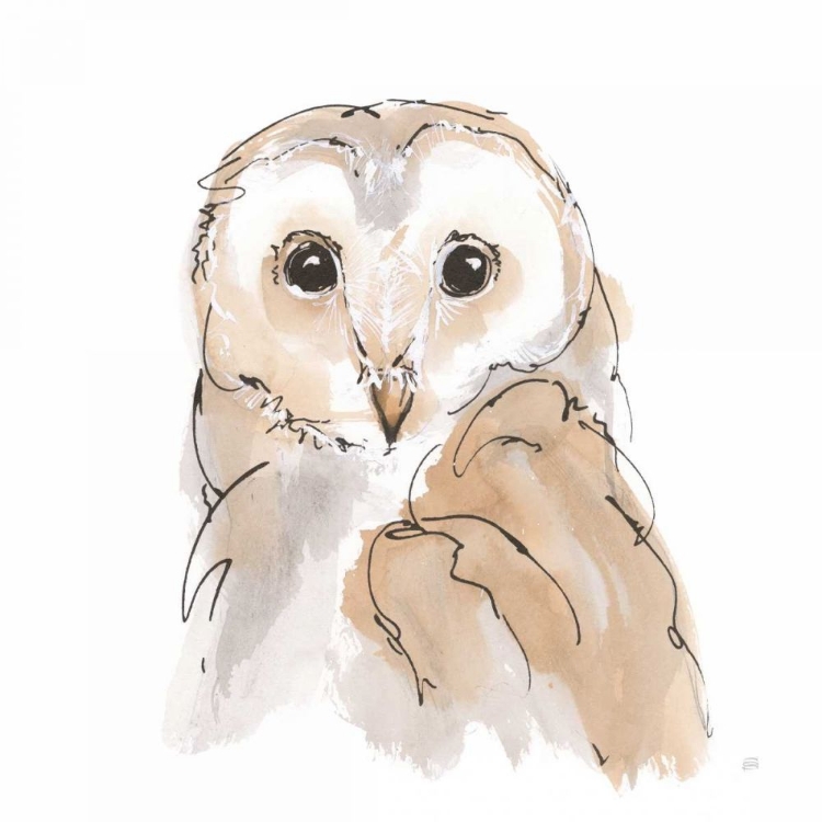 Picture of BARN OWL II