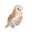 Picture of BARN OWL IV