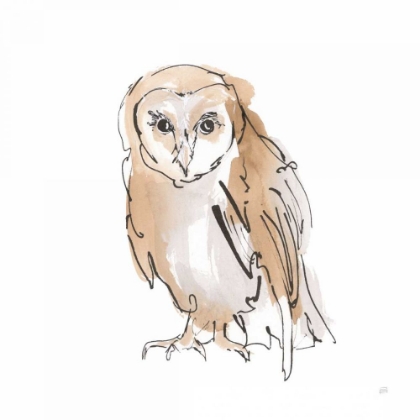 Picture of BARN OWL VII