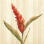 Picture of TROPICAL GARDEN II