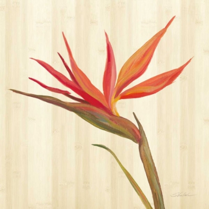 Picture of TROPICAL GARDEN IV