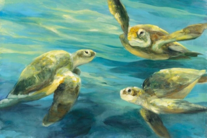 Picture of SEA TURTLES