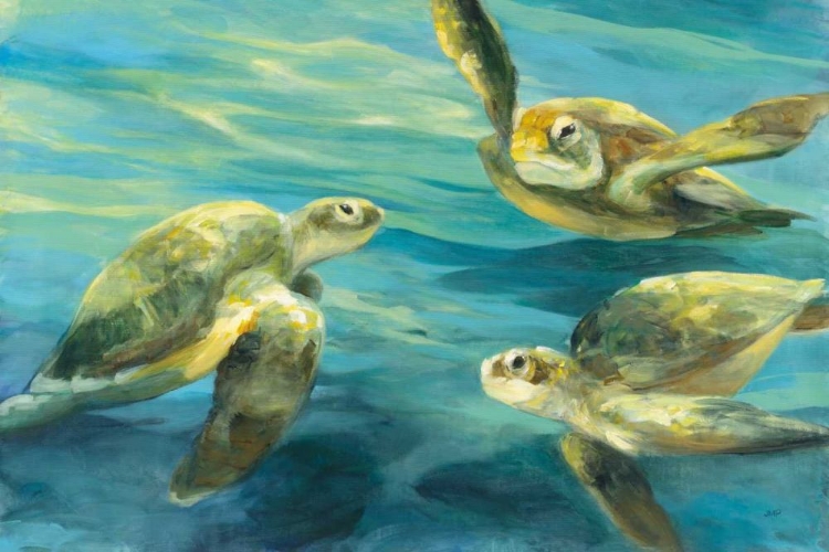 Picture of SEA TURTLES