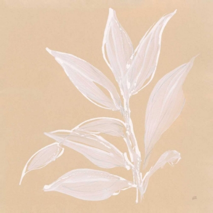 Picture of LEAF STUDY I