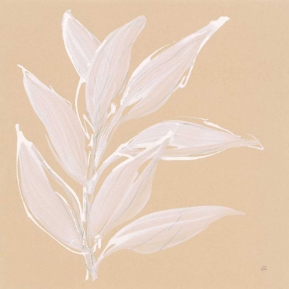 Picture of LEAF STUDY II