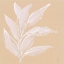 Picture of LEAF STUDY II