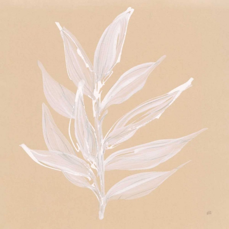 Picture of LEAF STUDY IV