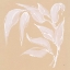 Picture of LEAF STUDY V