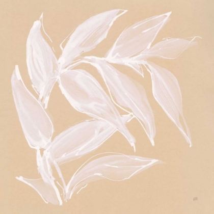 Picture of LEAF STUDY VI