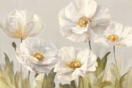 Picture of WHITE ANEMONES