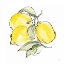 Picture of LEMONS III