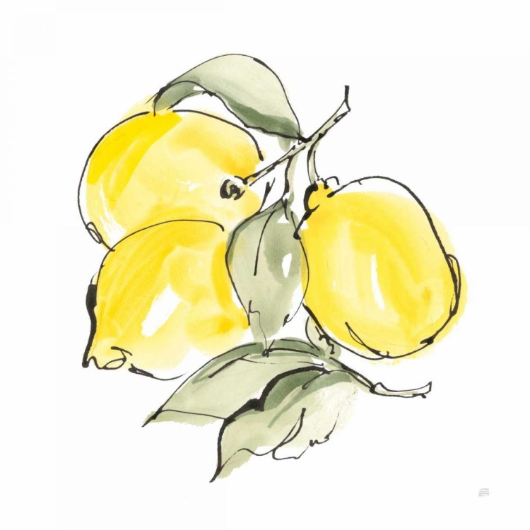 Picture of LEMONS III