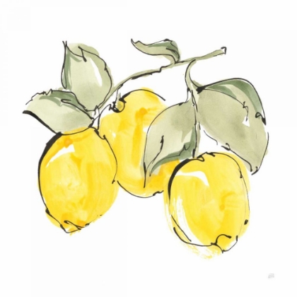 Picture of LEMONS IV