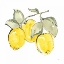 Picture of LEMONS IV